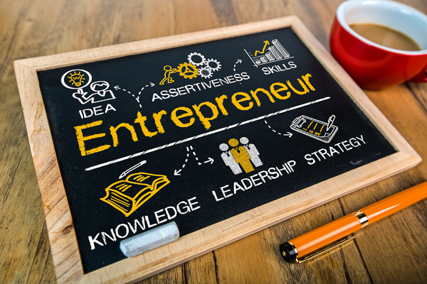 Entrepreneurship: Fostering Entrepreneurship in a Mixed Economy